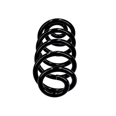 ARC SPIRAL EIBACH R10553 1
