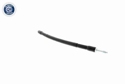 FURTUN FRANA VAICO V104223 7