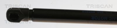 AMORTIZOR PORTBAGAJ TRISCAN 871082003 1