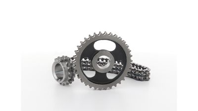 STEUERKETTENSATZ SKF VKML81008 20