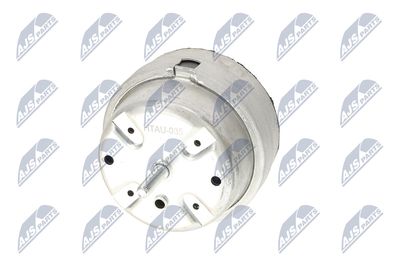 SUPORT MOTOR NTY ZPSAU035 4