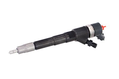 INJECTOR REMANTE 002003000031R 7