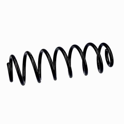 ARC SPIRAL EIBACH R10793 6