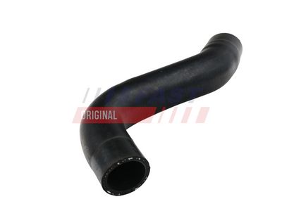 Radiatoriaus žarna