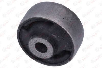 SUPORT TRAPEZ BIRTH 2946 2