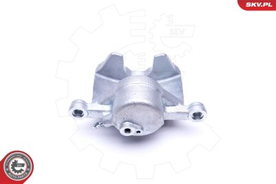 Brake Caliper 46SKV081