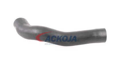 FURTUN EAR SUPRAALIMENTARE ACKOJA A379600 37