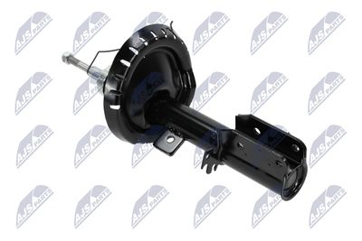 AMORTIZOR NTY ACT041 11