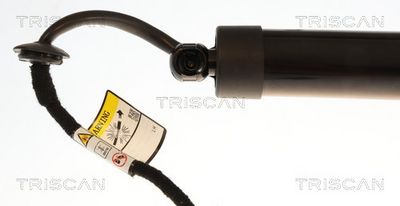 Plynárenská vzpera (pneumatická pružina), zavazadlový priestor TRISCAN 8710 43315