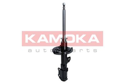 Shock Absorber 2000424