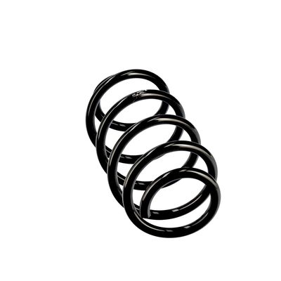 ARC SPIRAL EIBACH R10806 12