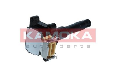 Ignition Coil 7120011