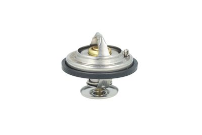 TERMOSTAT LICHID RACIRE NRF 725478 33