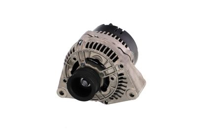GENERATOR / ALTERNATOR REMANTE 011003000517R 61