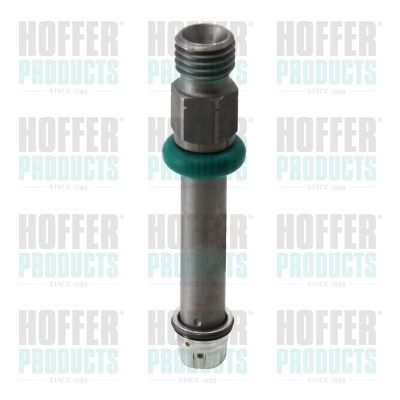 HOFFER Injector (H75111041)