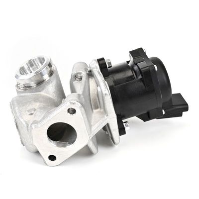 SUPAPA EGR DELPHI EG1050712B1 18