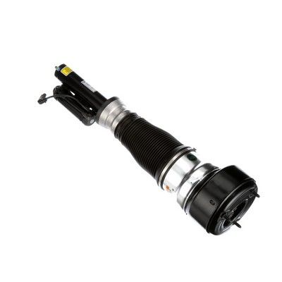 LUFTFEDERBEIN Arnott AS2540 55