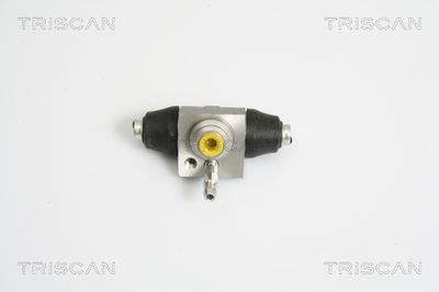 Válec kolové brzdy TRISCAN 8130 29021