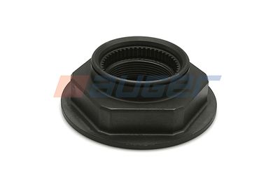 Wielnaafmoer (M52x2, sleutelwijdte 85mm, hoogte 41mm) past: BPW
