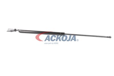 AMORTIZOR PORTBAGAJ ACKOJA A320092 14