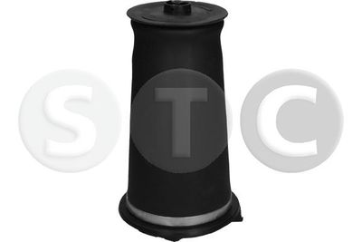 LUFTFEDER FAHRWERK STC T442980 4