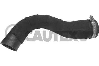 CAUTEX 757347 Воздушный патрубок  для LAND ROVER RANGE ROVER EVOQUE Кабриолет (L538) 2.0 4x4
