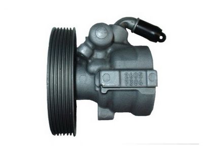 HYDRAULIKPUMPE LENKUNG SPIDAN 53945 3