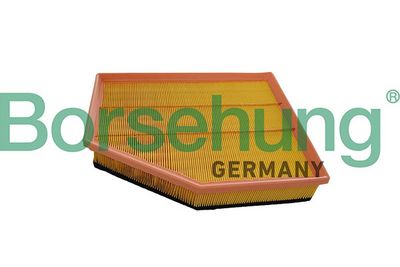 FILTRU AER Borsehung B13061