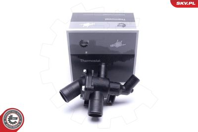 TERMOSTAT LICHID RACIRE