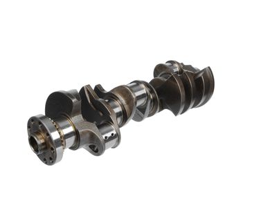 ARBORE COTIT ET ENGINETEAM HK0218 14