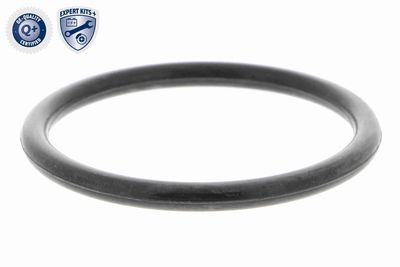 TERMOSTAT LICHID RACIRE VEMO V25991723 1