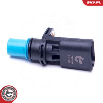 Styrevinkelsensor ESEN SKV 17SKV485