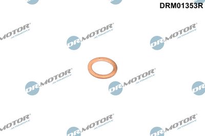 Dr.Motor Automotive Tarpiklis, alyvos išleidimo angos kaištis