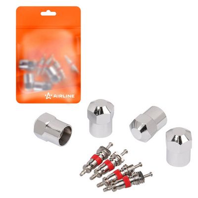 Комплект золотников, сервисный нипель Airline ATRS011