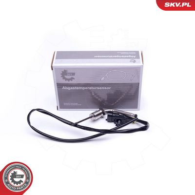 Sensor, Abgastemperatur