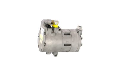 COMPRESOR CLIMATIZARE REMANTE 005001000371R 11
