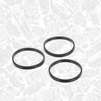 SET GARNITURI CARCASA DISTRIBUTIE ET ENGINETEAM TM0068 4