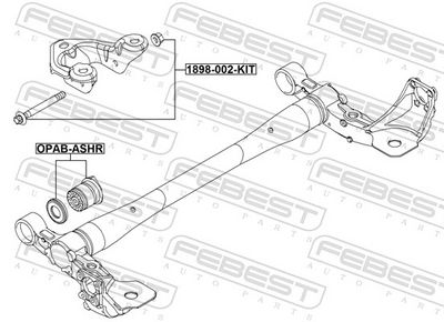 BOLTURI FIXARE SUPORT AX FEBEST 1898002KIT 1