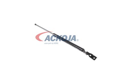 AMORTIZOR PORTBAGAJ ACKOJA A320091 44