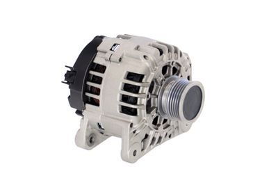 GENERATOR / ALTERNATOR REMANTE 011003000135R 49