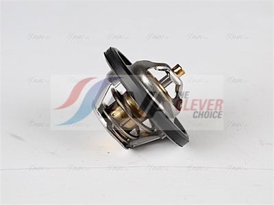 TERMOSTAT LICHID RACIRE AVA Clever Choice OLTS004 2