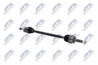 PLANETARA NTY NPWCH094 11