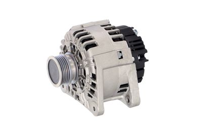 GENERATOR / ALTERNATOR REMANTE 011003000135R 8