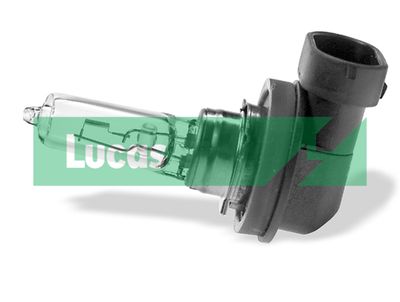 LUCAS Gloeilamp, koplamp Lucas (LLB9005)