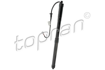galinių durų elektros variklis 602068 TOPRAN