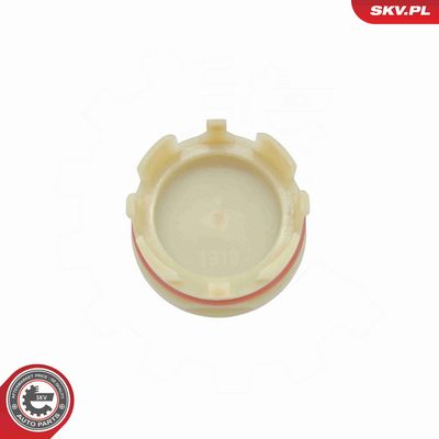 CAPAC DISTRIBUTIE BLOC MOTOR ESEN SKV 97SKV341 1