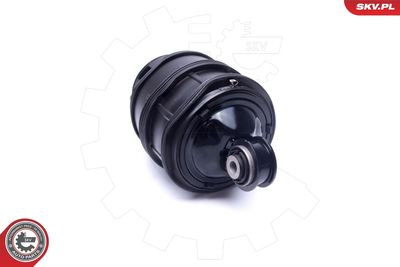 Air Spring, suspension 58SKV058