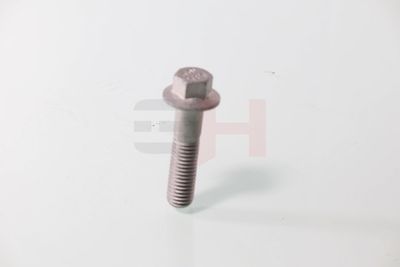 SURUB CAPAT DE AX GH GH392549 23