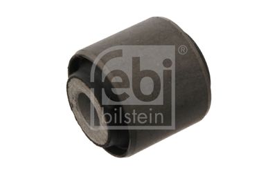 Mounting, control/trailing arm 01305