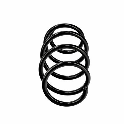 ARC SPIRAL EIBACH R19597 1